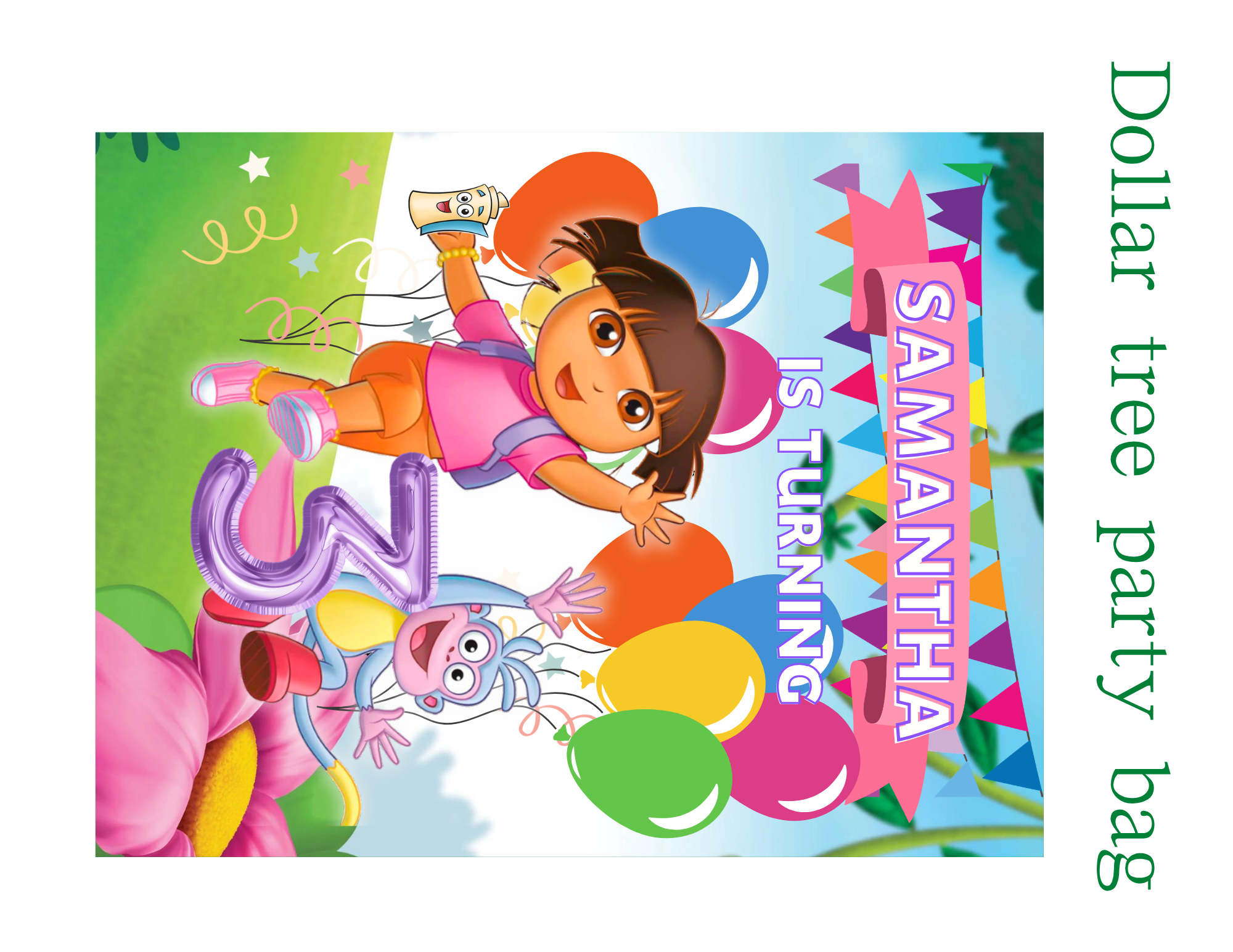 Dora Party Favor Bundle