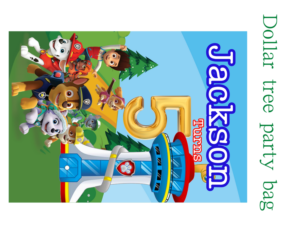 Paw Patrol Party Favor Bundle