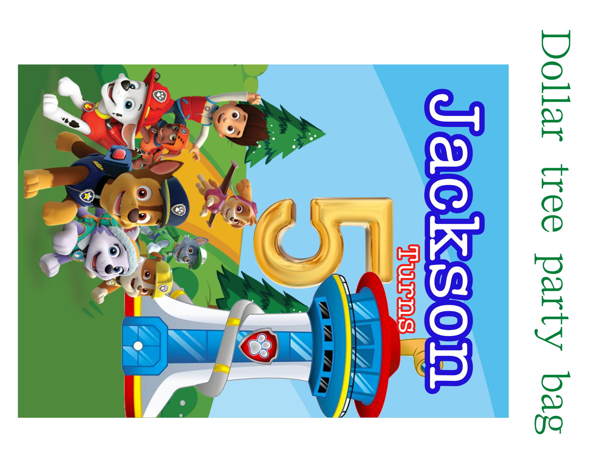 Paw Patrol Party Favor Bundle