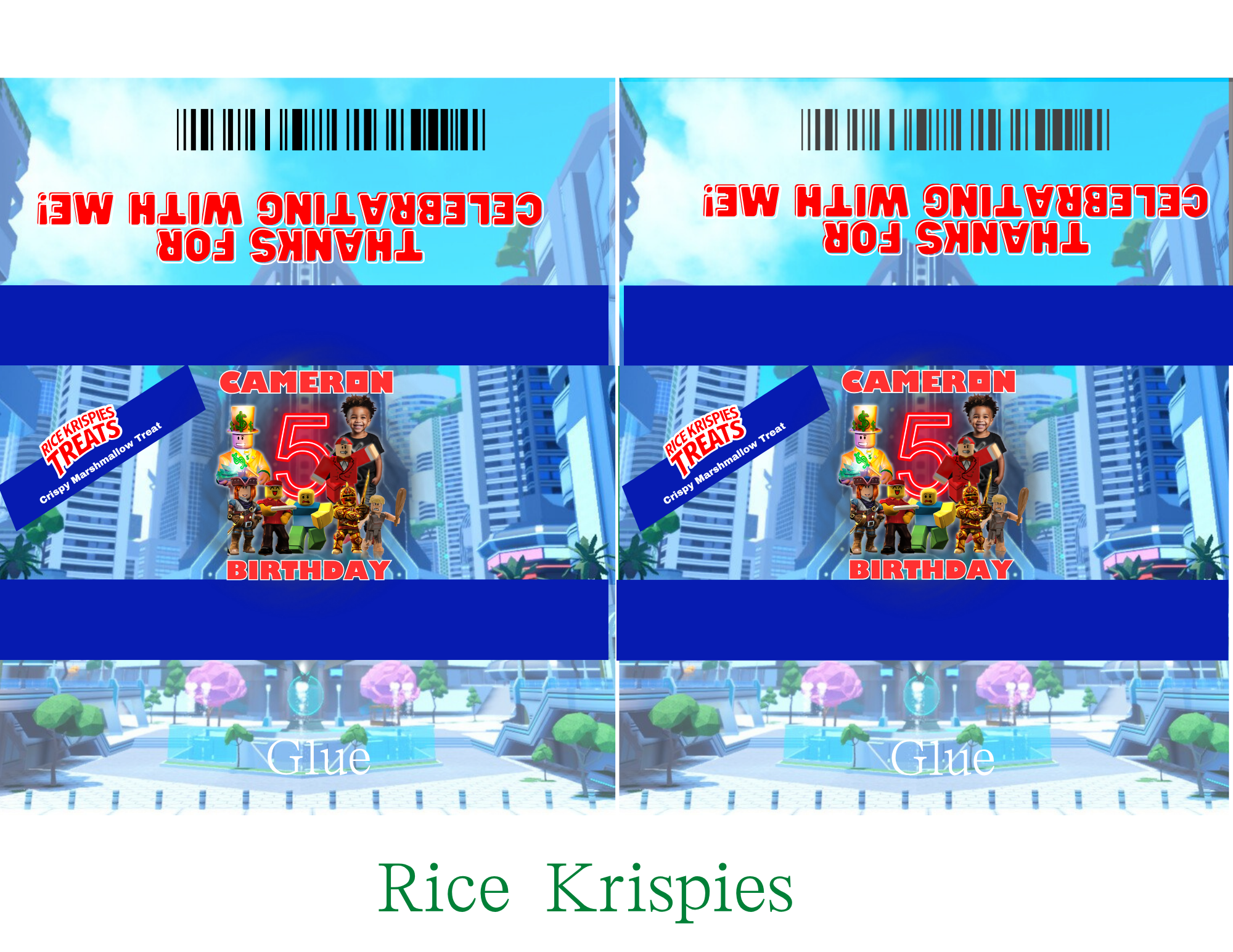 Roblox Basic Party Package
