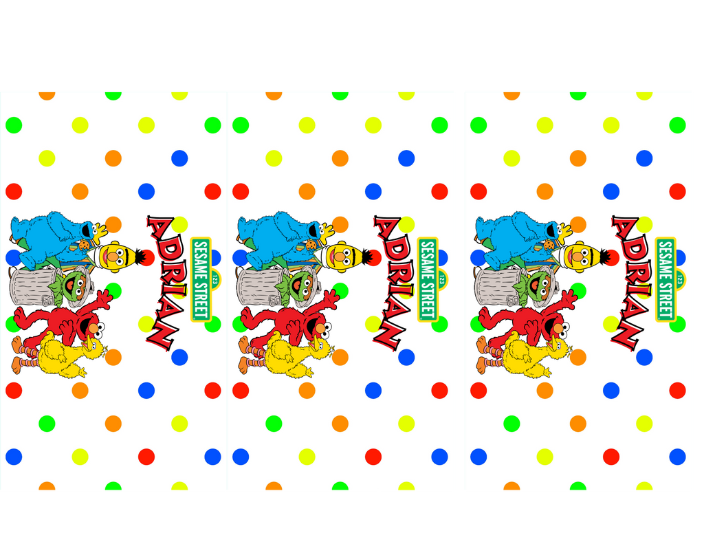 Sesame Street Party Favor Bundle